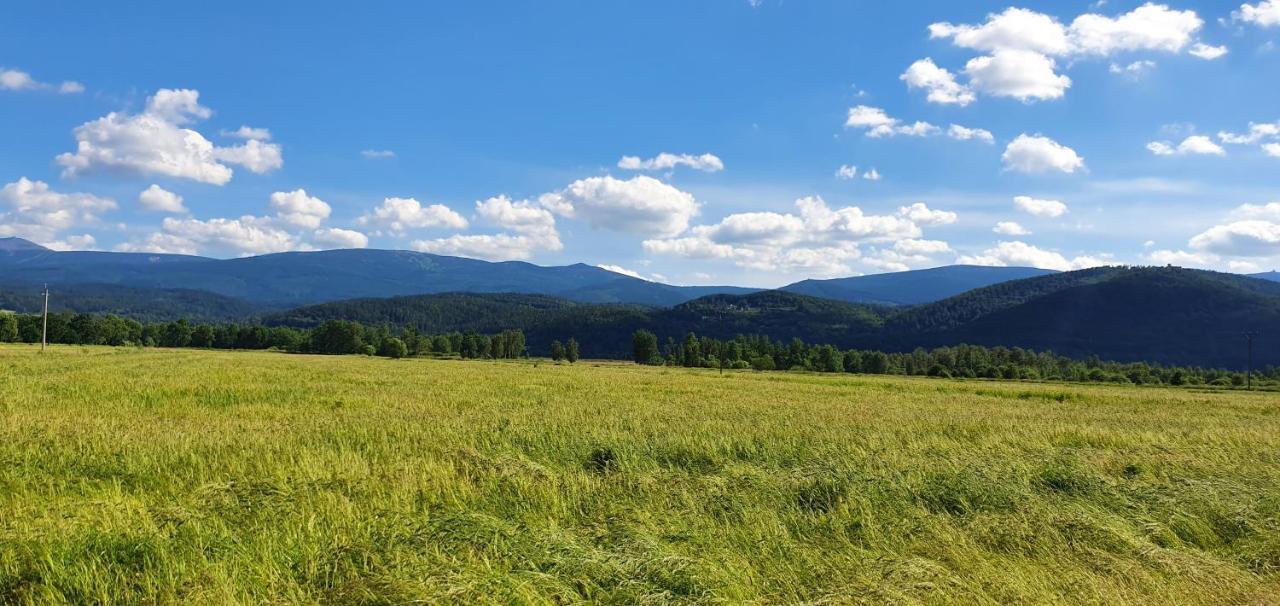 Apartament Wita Stwosza Jelenia Gora Luaran gambar